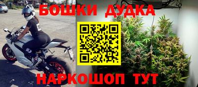 прущие крисы Кунгур