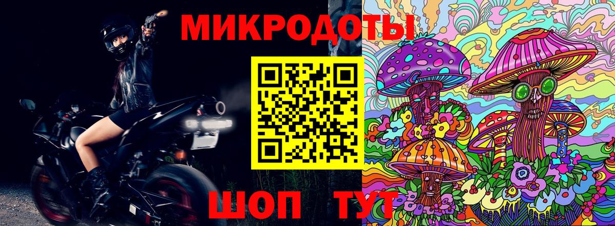 Псилоцибиновые грибы Psilocybe Старая Купавна
